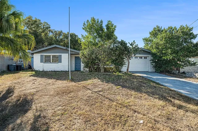 a view of backyard of house