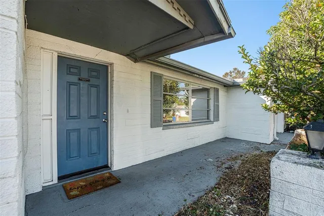 a view of a backyard with a large tree