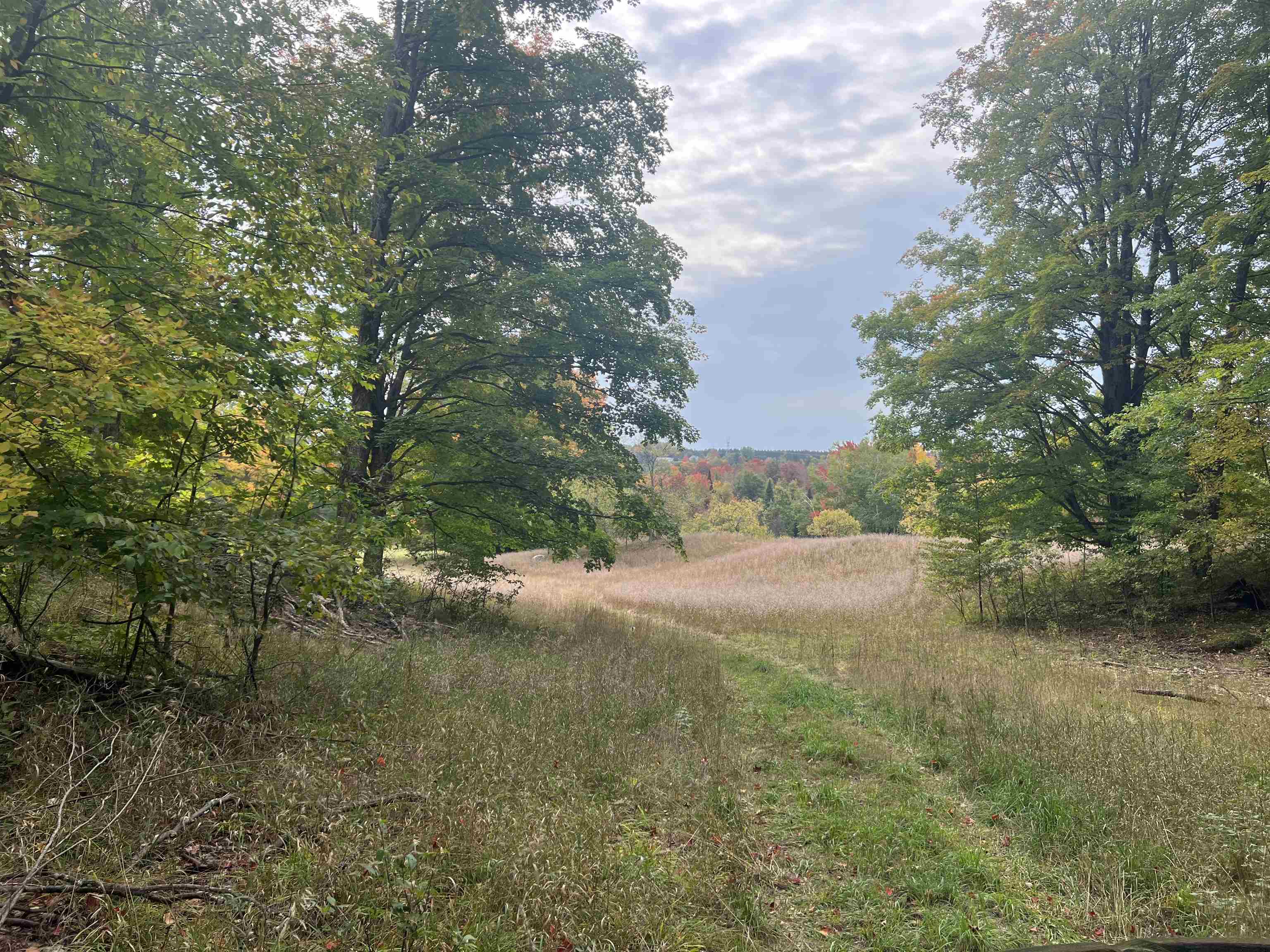 90 A Ridgeview Drive Kalkaska, MI 49646 - Photo 59 of 75