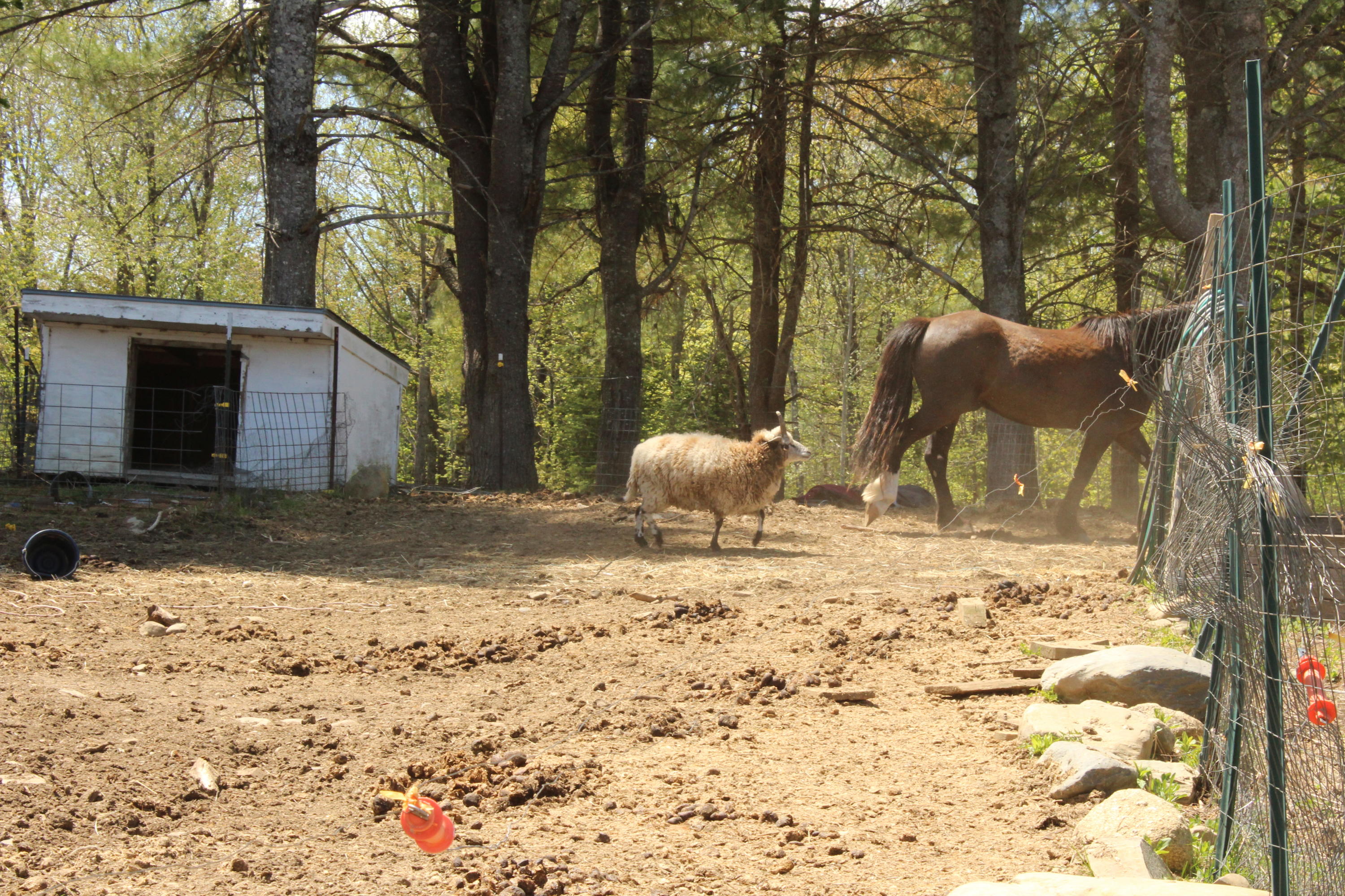 43 Rips Road Brownville, ME 04414 - Photo 102 of 103 the master is calling