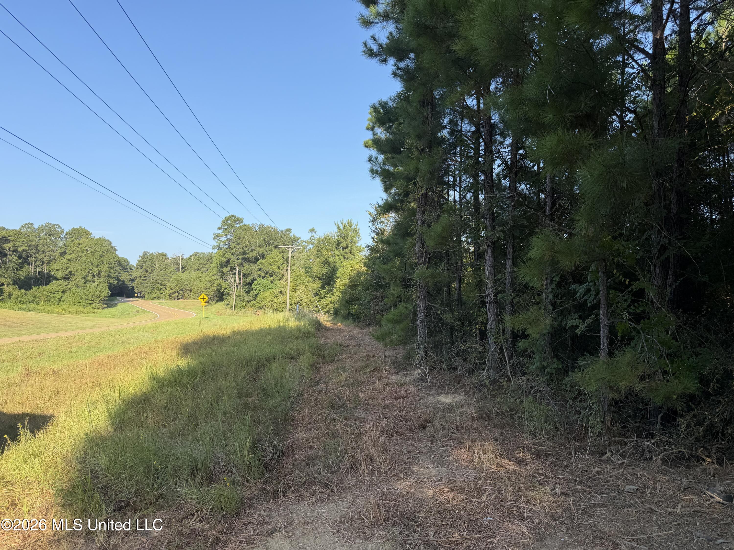 Ms-570 Ruth, MS 39662 - Photo 2 of 18 IMG_7811
