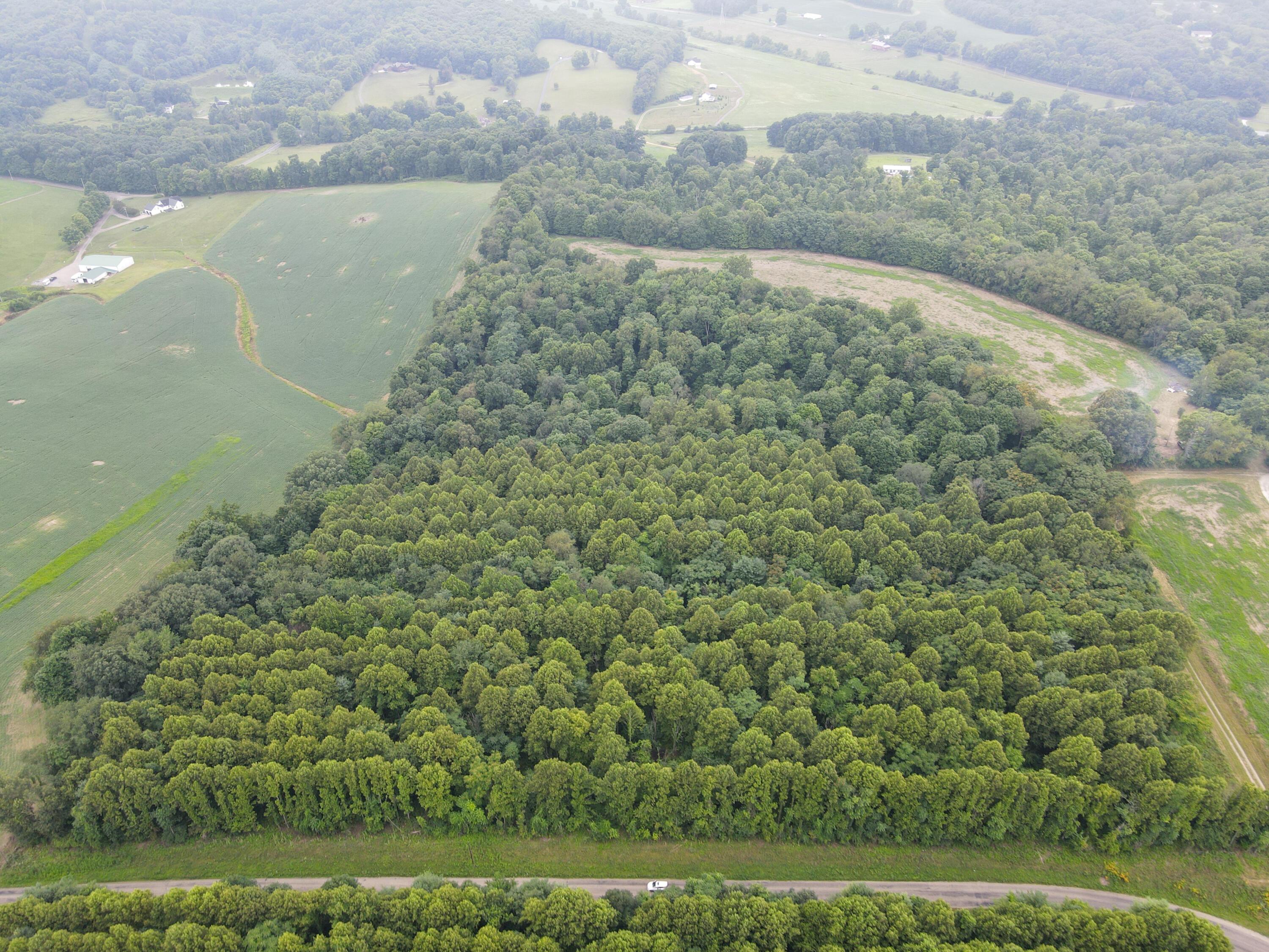 0 North Butler Liberty Road Butler, OH 44822 - Photo 47 of 47 DJI_0538
