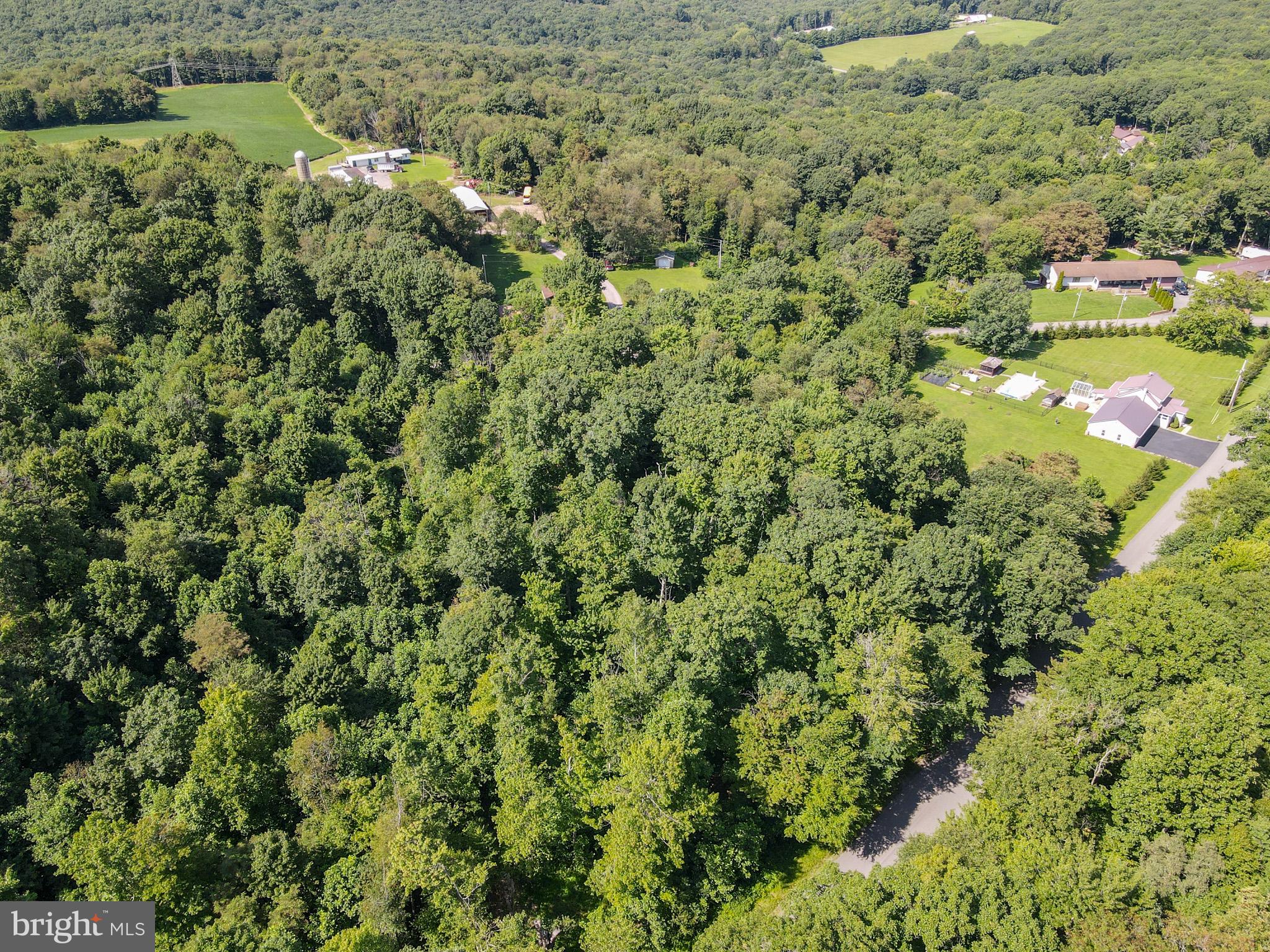 265 Fearer Road Friendsville, MD 21531 - Photo 75 of 75 Serene woodland retreat awaits you.