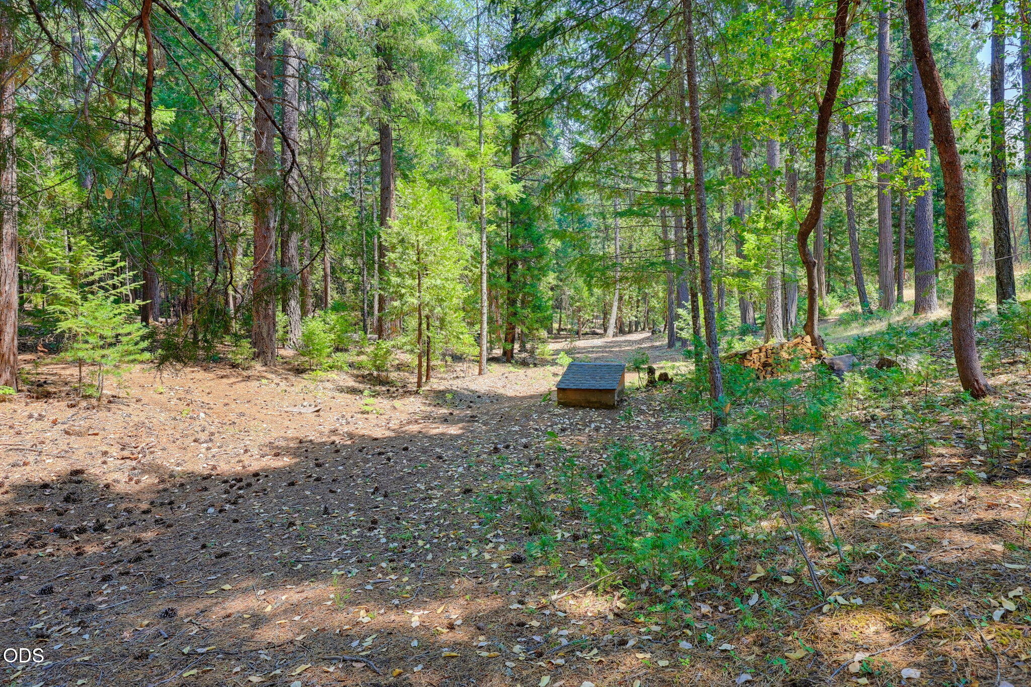 2280 Queens Branch Road Rogue River, OR 97537 - Photo 55 of 62