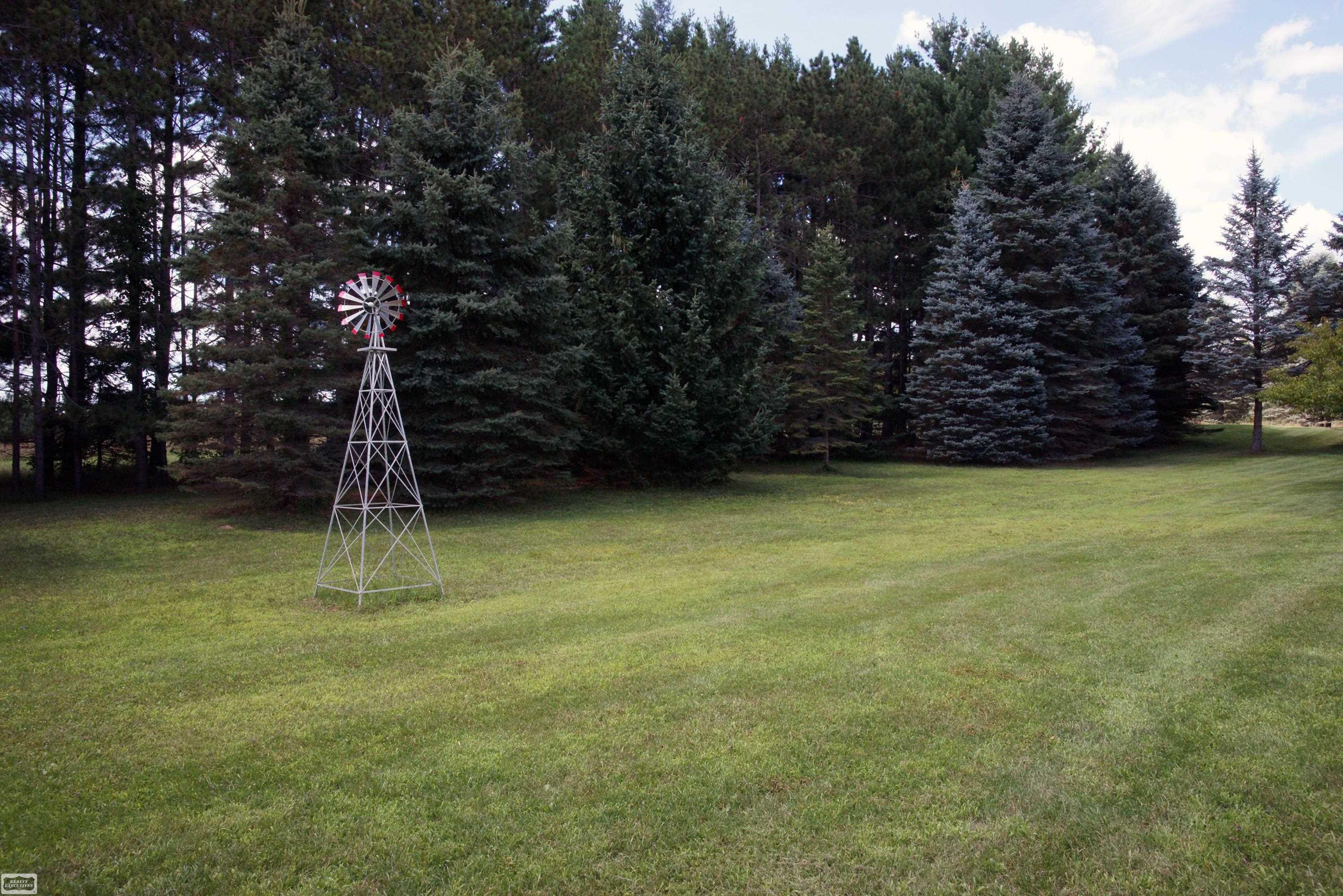 4540 Lee Hill Road Mayville, MI 48744 - Photo 4 of 12