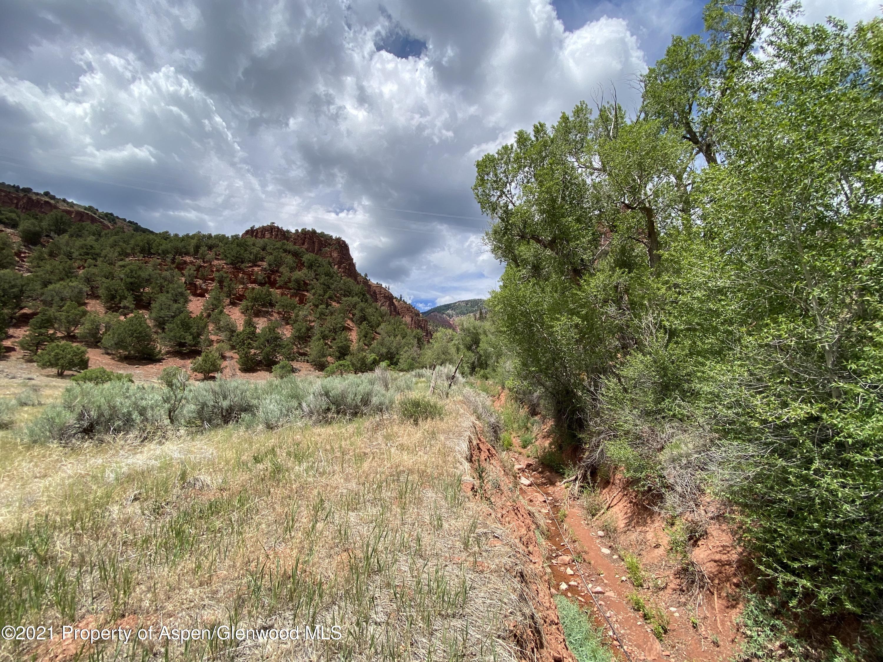 1200 Frying Pan Road Basalt, CO 81621 - Photo 17 of 29 a view of a yard in a field