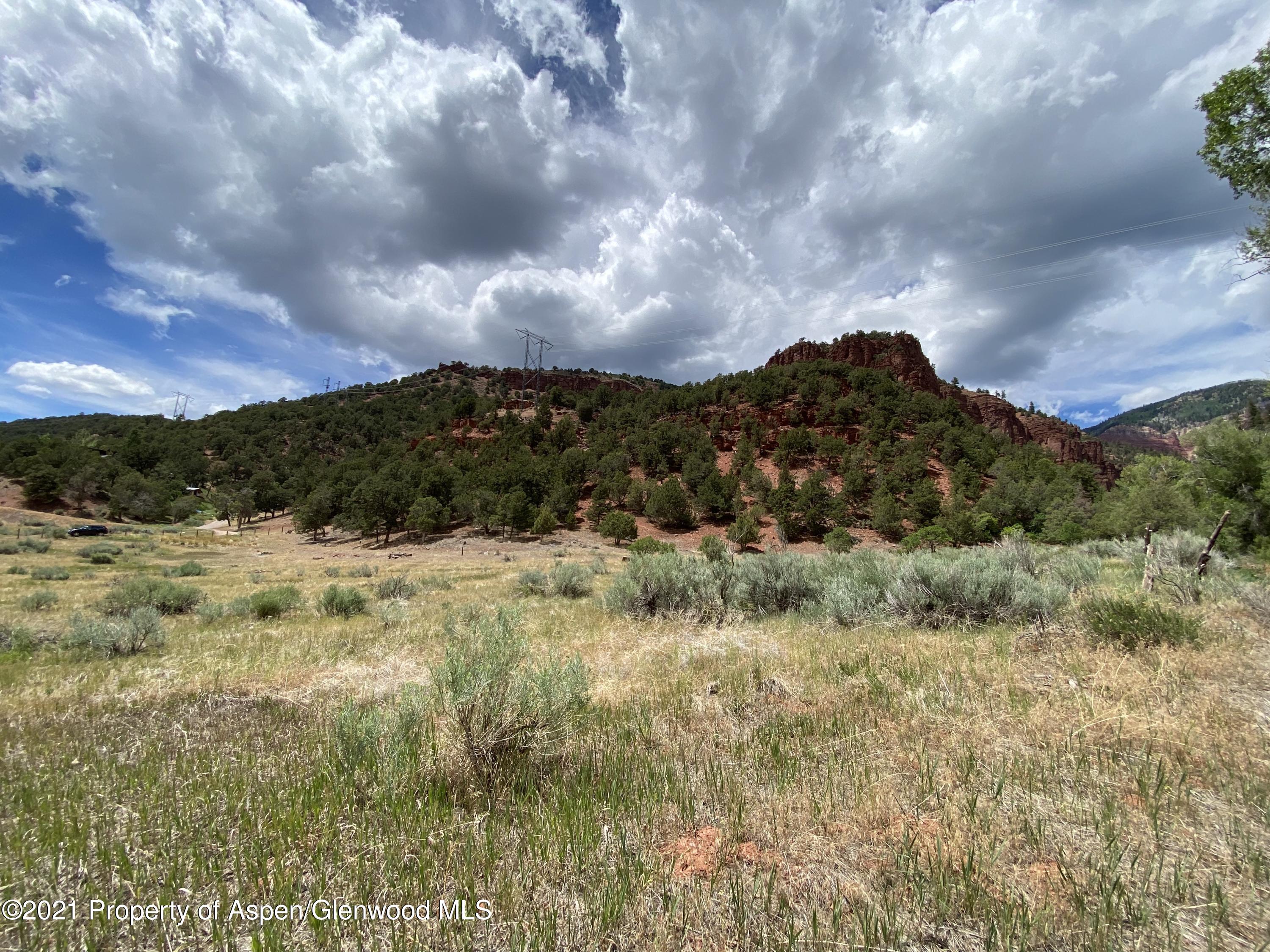 1200 Frying Pan Road Basalt, CO 81621 - Photo 18 of 29 a view of a yard
