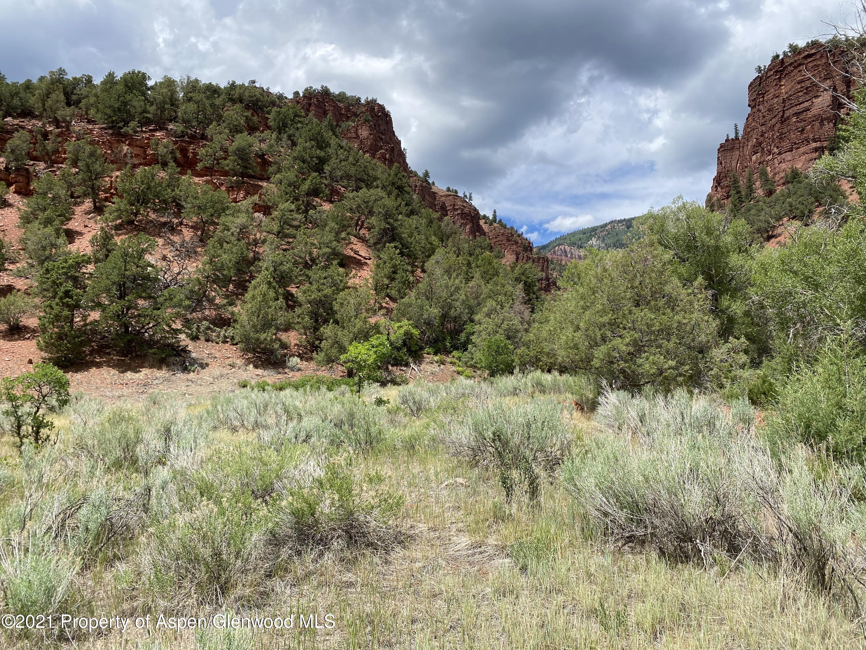 1200 Frying Pan Road Basalt, CO 81621 - Photo 21 of 29 a view of a yard