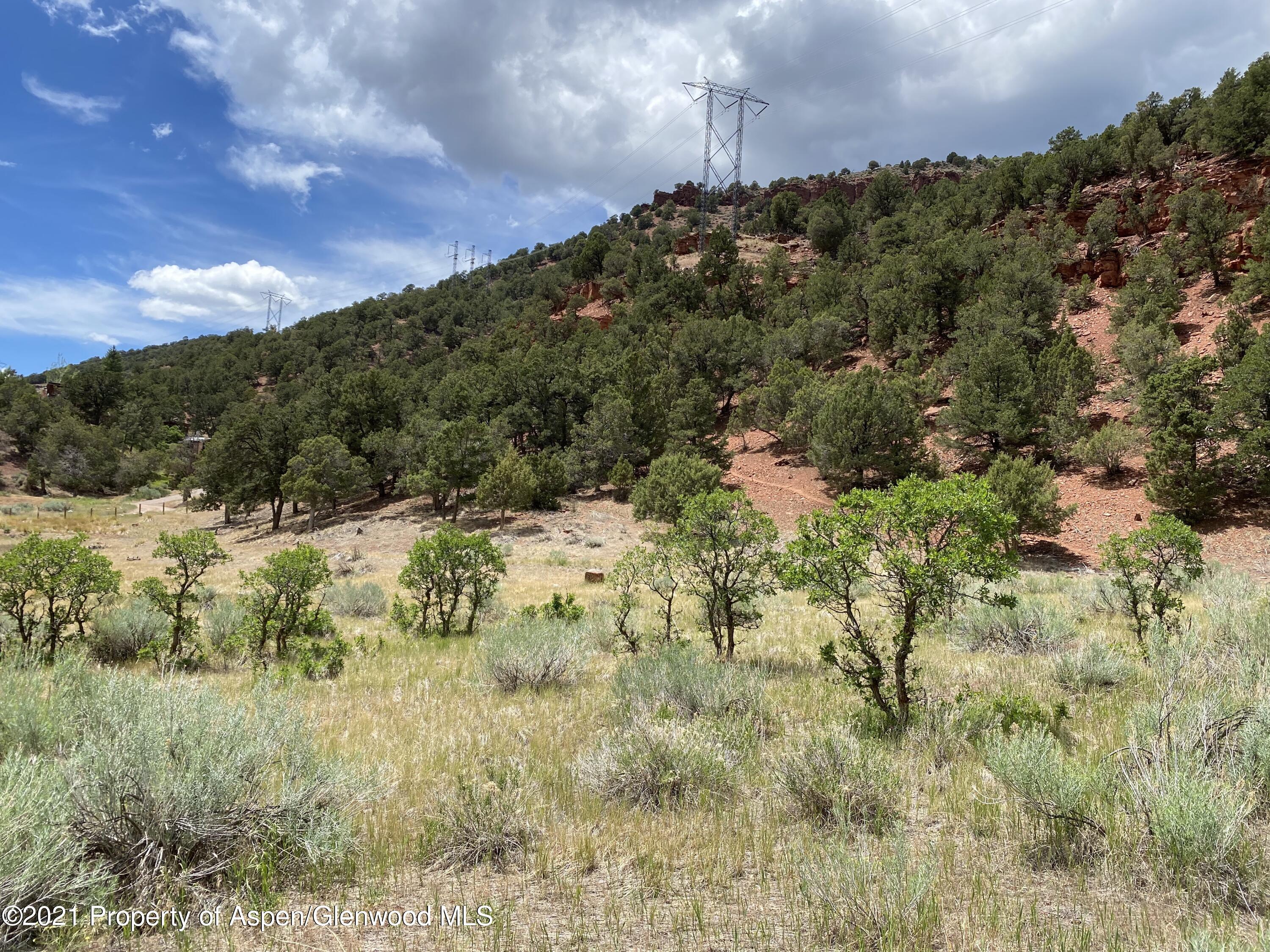 1200 Frying Pan Road Basalt, CO 81621 - Photo 22 of 29 a view of a yard with a tree