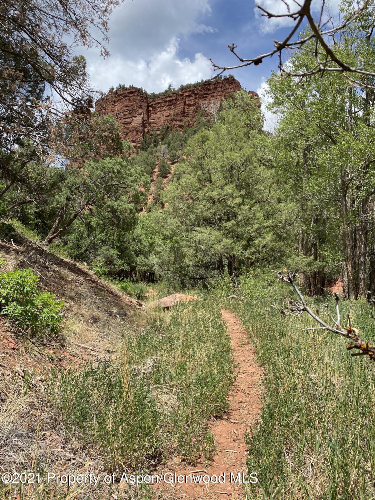 1200 Frying Pan Road Basalt, CO 81621 - Photo 25 of 29 a view of a forest with a lake