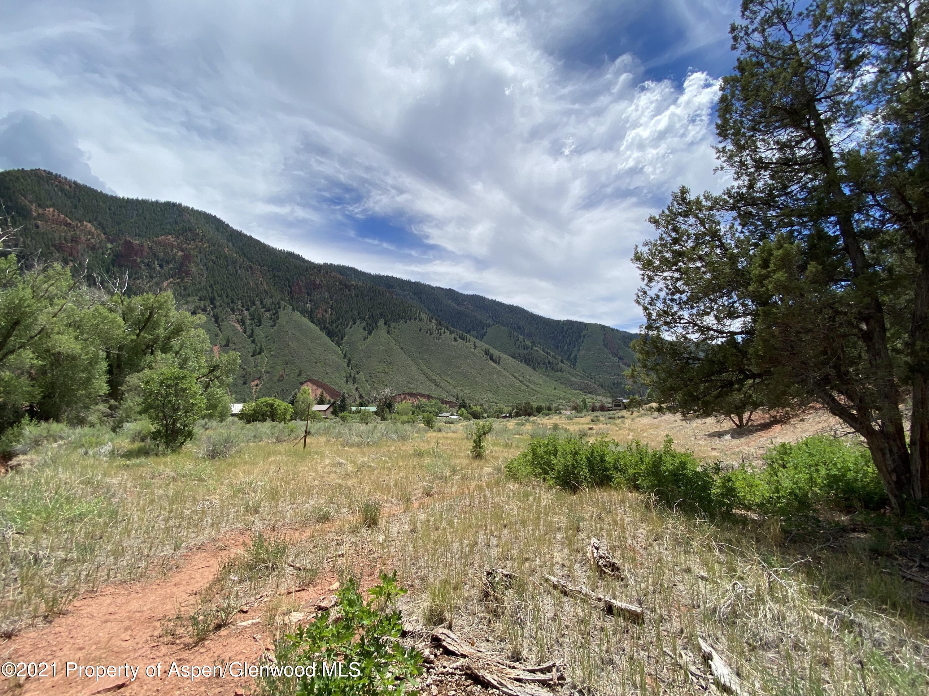 1200 Frying Pan Road Basalt, CO 81621 - Photo 28 of 29 a view of a yard with a tree