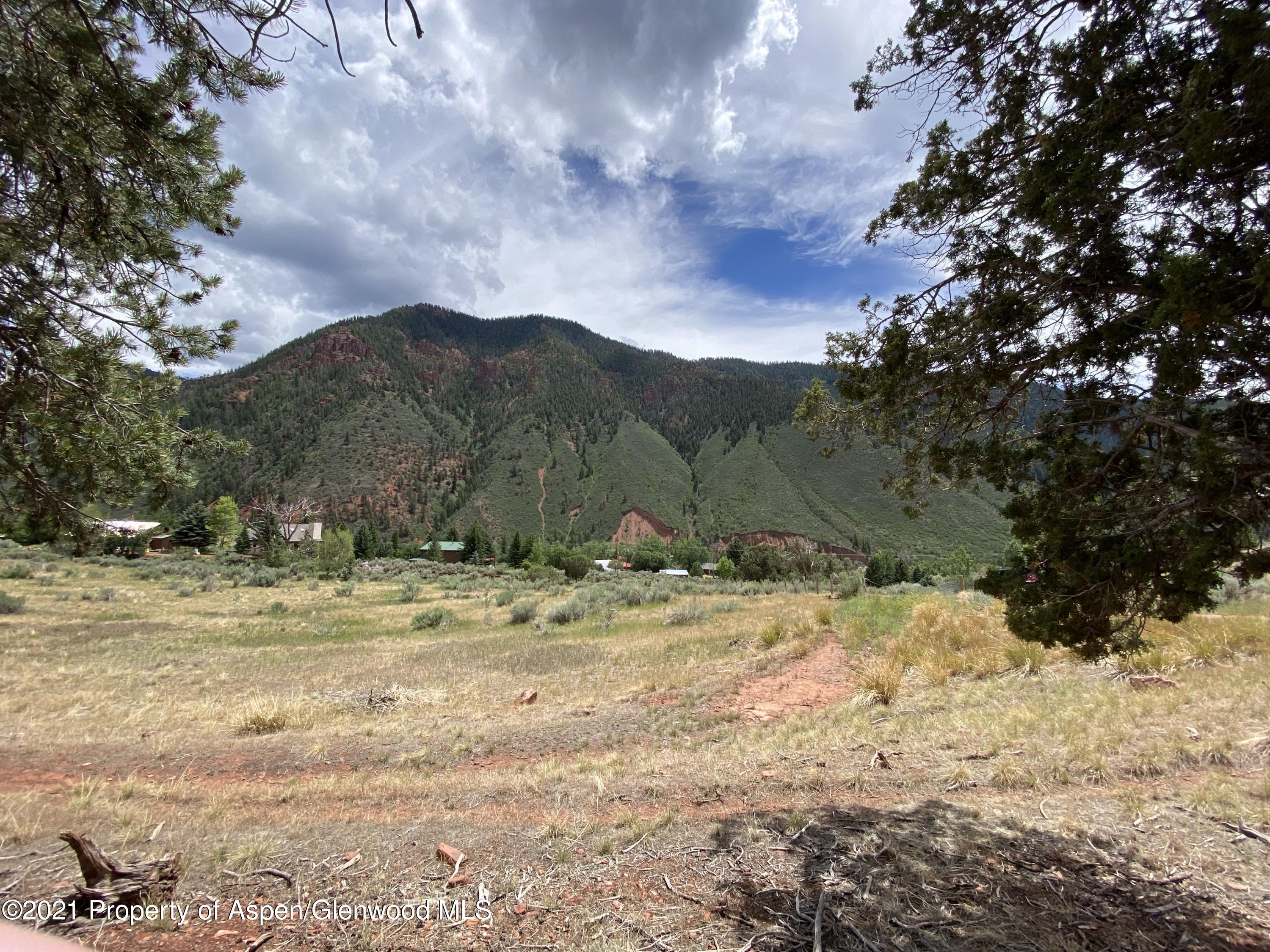 1200 Frying Pan Road Basalt, CO 81621 - Photo 5 of 29 a view of a yard with a tree