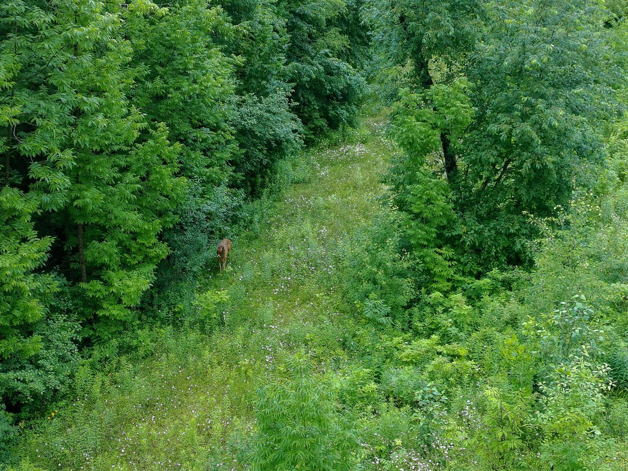 Tbd-2 North Riverside Road Moose Lake, MN 55767 - Photo 9 of 12