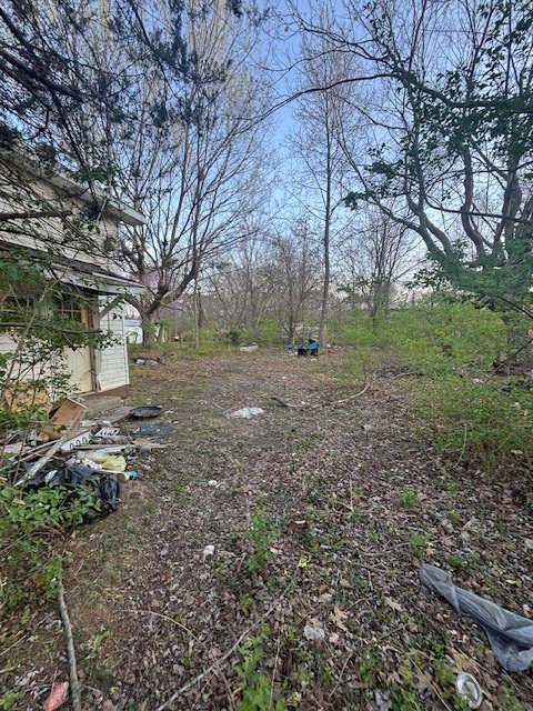 4872 Old North Road Christopher, IL 62822 - Photo 4 of 16 a view of a yard with plants and trees