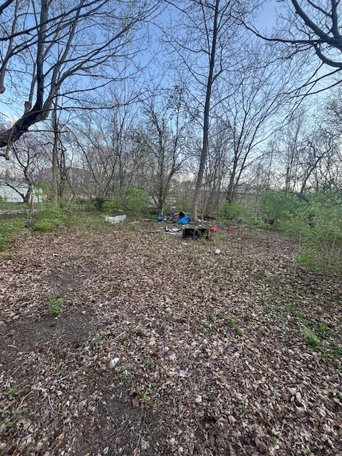 4872 Old North Road Christopher, IL 62822 - Photo 5 of 16 a backyard of a house with lots of green space