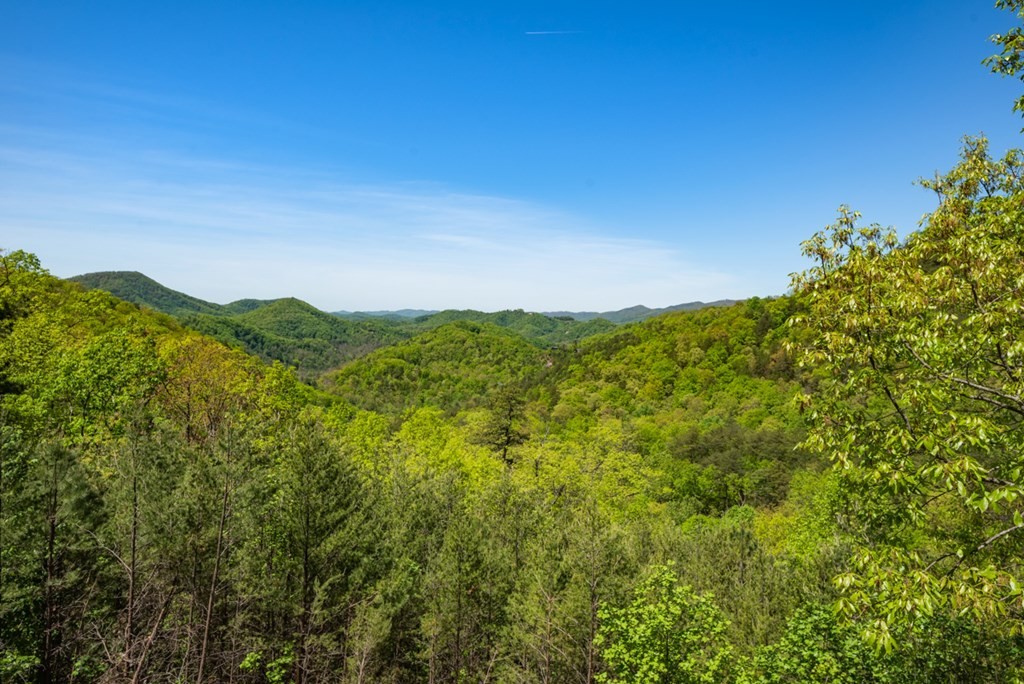 4475 Stackstone Road Sevierville, TN 37862 - Photo 55 of 58 Gallery Image 55