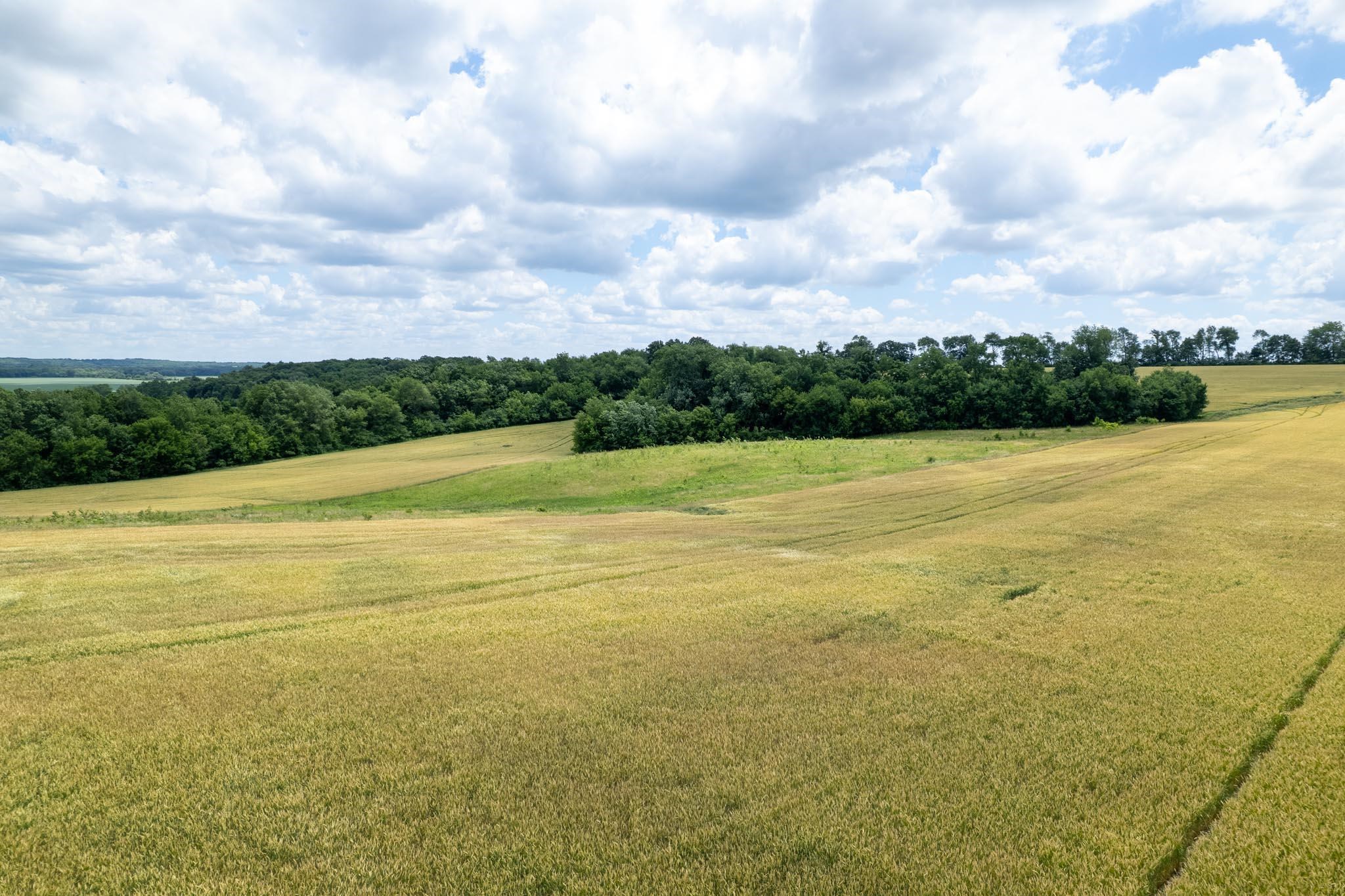 13682 East State Line Road Durand, IL 61024 - Photo 18 of 68
