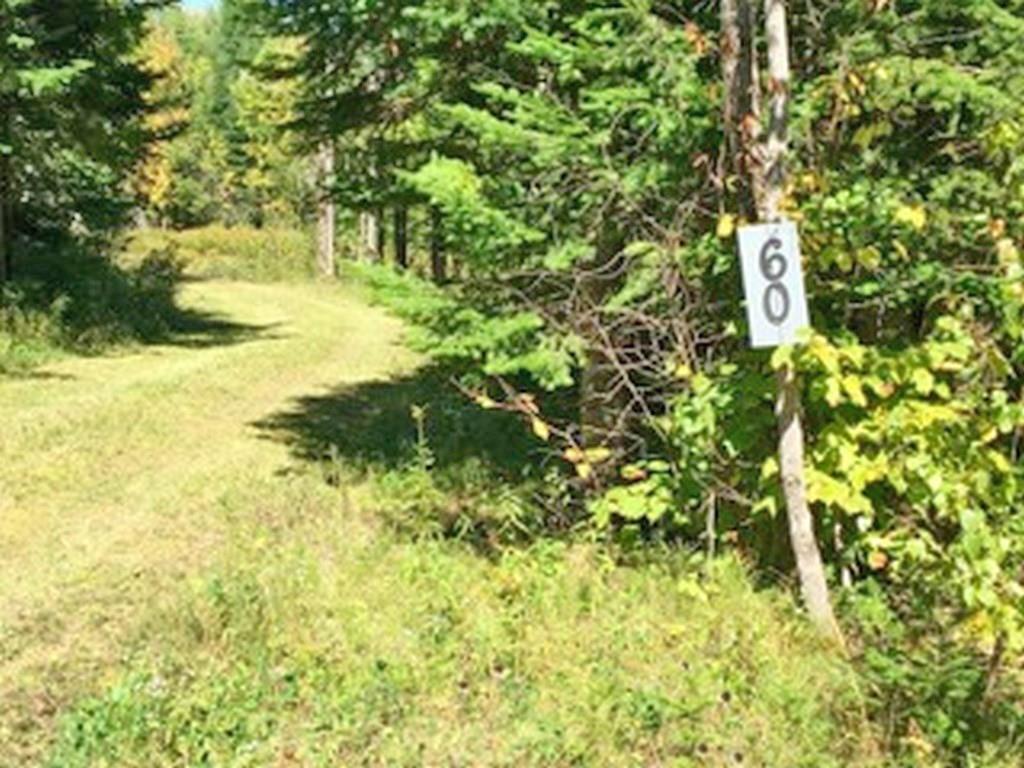 60 Coffin Road Springfield, ME 04487 - Photo 6 of 14 Photo