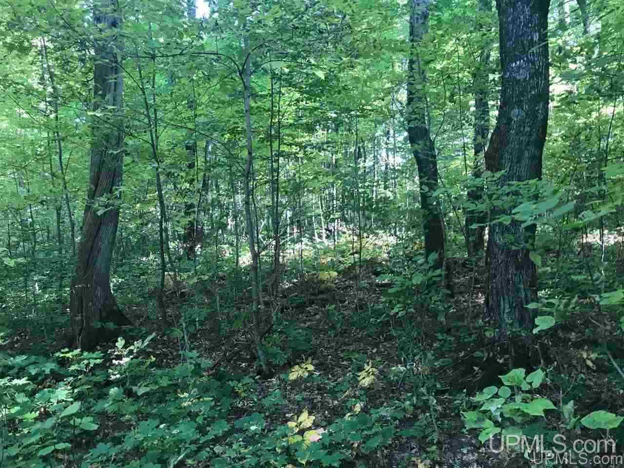 Tbd Ford River Road Arnold, MI 49831 - Photo 16 of 22