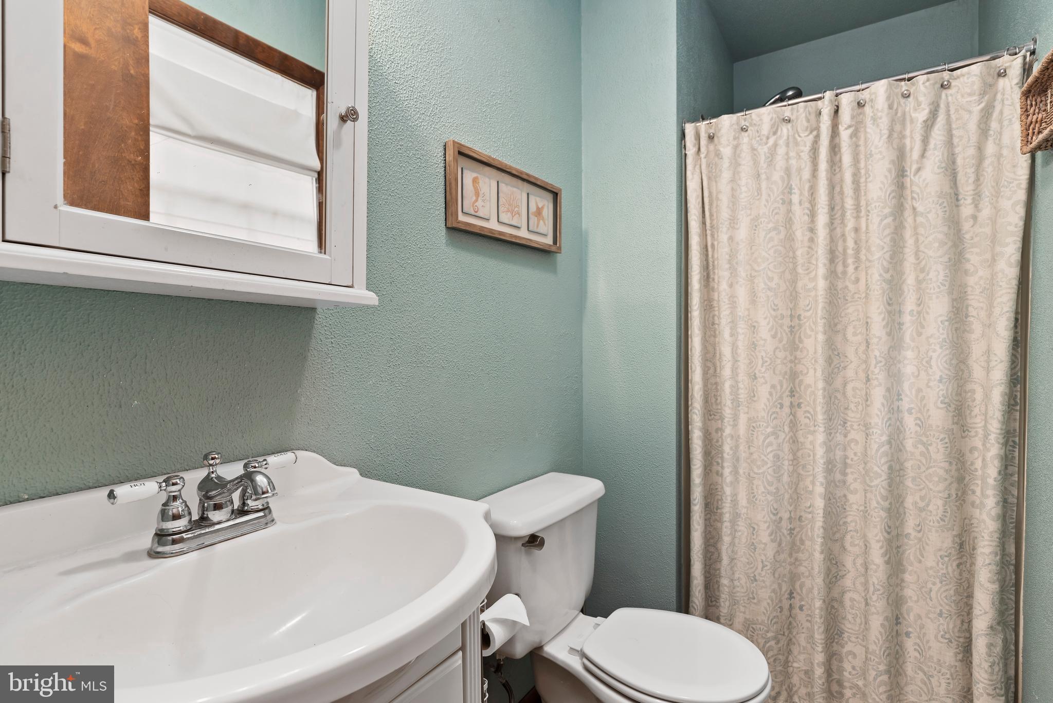 447 Adams Road Carlisle, PA 17015 - Photo 32 of 44 Primary Bathroom