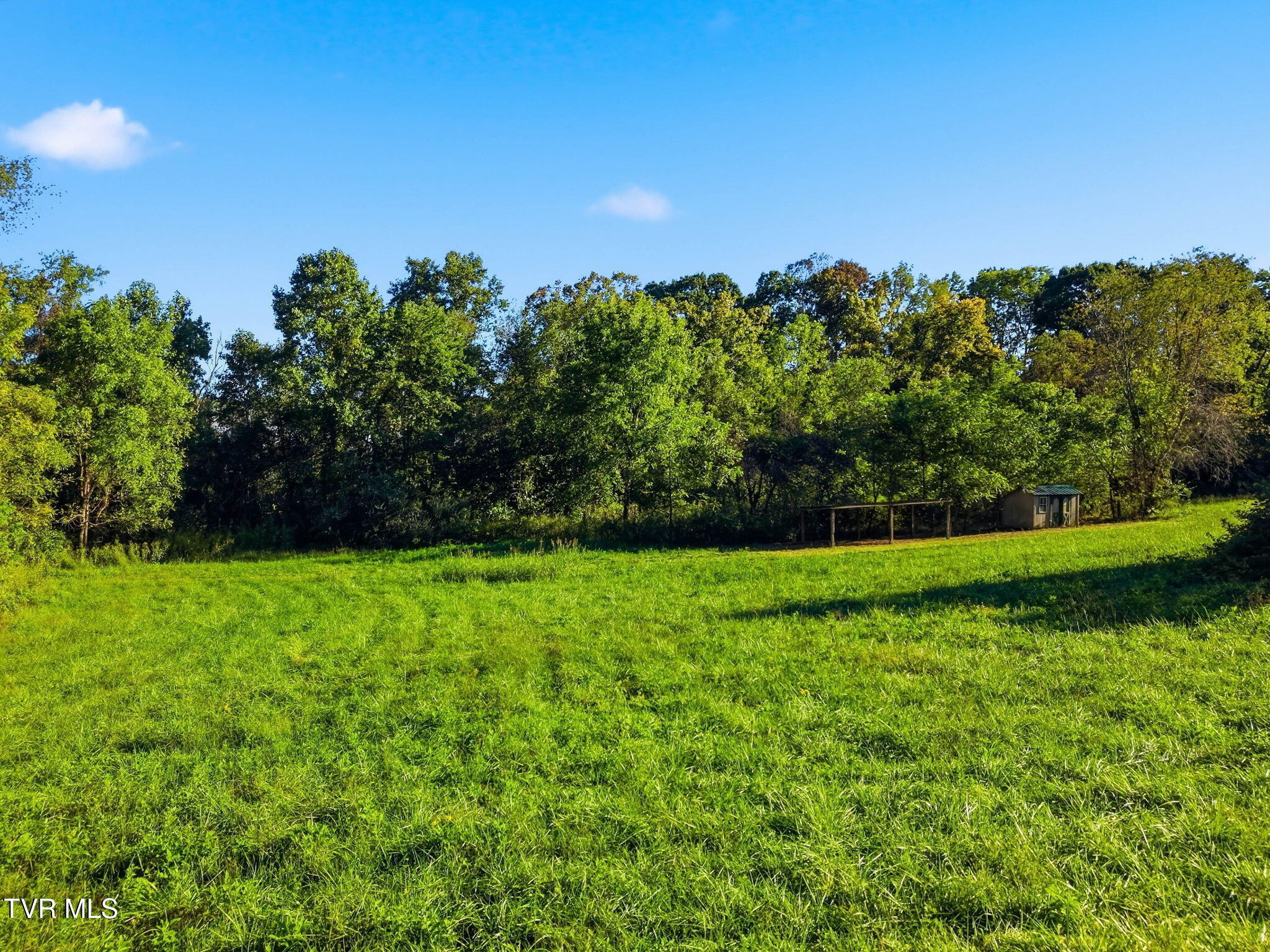 200 Trammel Road Bristol, TN 37620 - Photo 119 of 151 119-web-or-mls-200 Trammel Rd-101