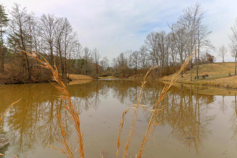 0 Red Mud Road Bidwell, OH 45614 - Photo 17 of 38
