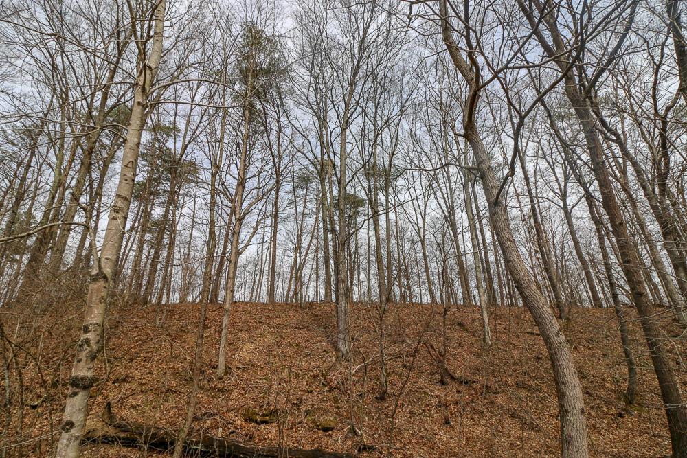 0 Red Mud Road Bidwell, OH 45614 - Photo 23 of 38