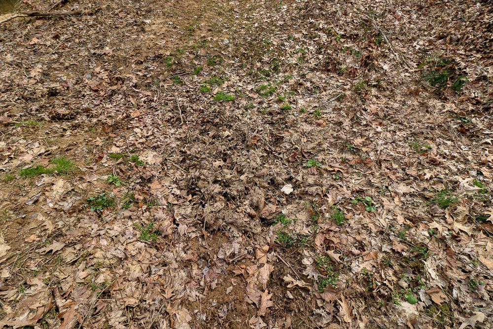 0 Red Mud Road Bidwell, OH 45614 - Photo 25 of 38