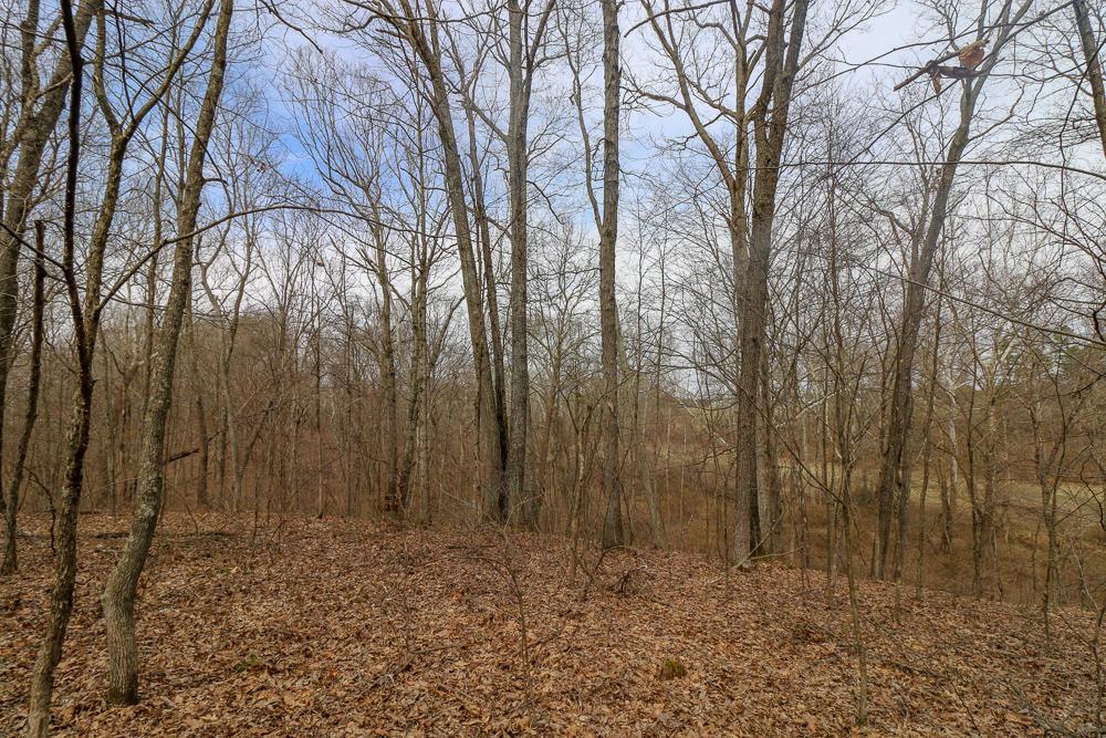 0 Red Mud Road Bidwell, OH 45614 - Photo 27 of 38