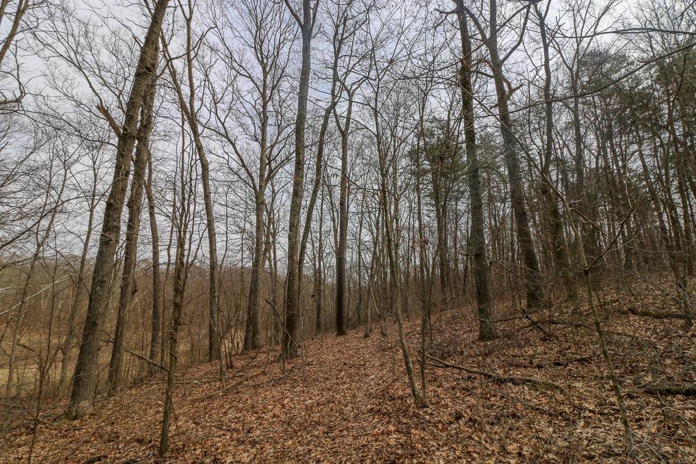 0 Red Mud Road Bidwell, OH 45614 - Photo 28 of 38