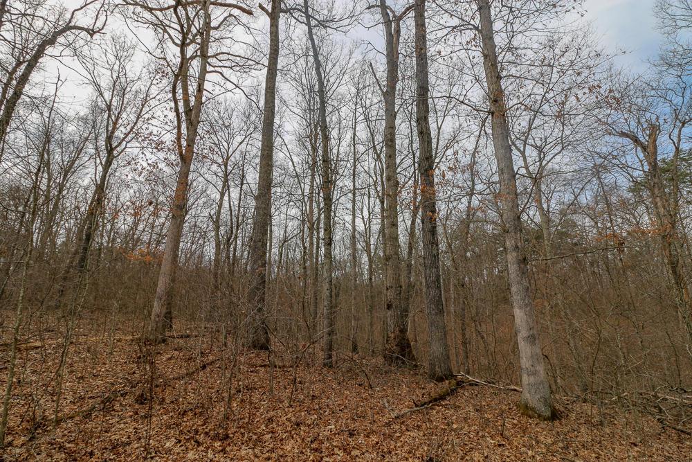 0 Red Mud Road Bidwell, OH 45614 - Photo 29 of 38