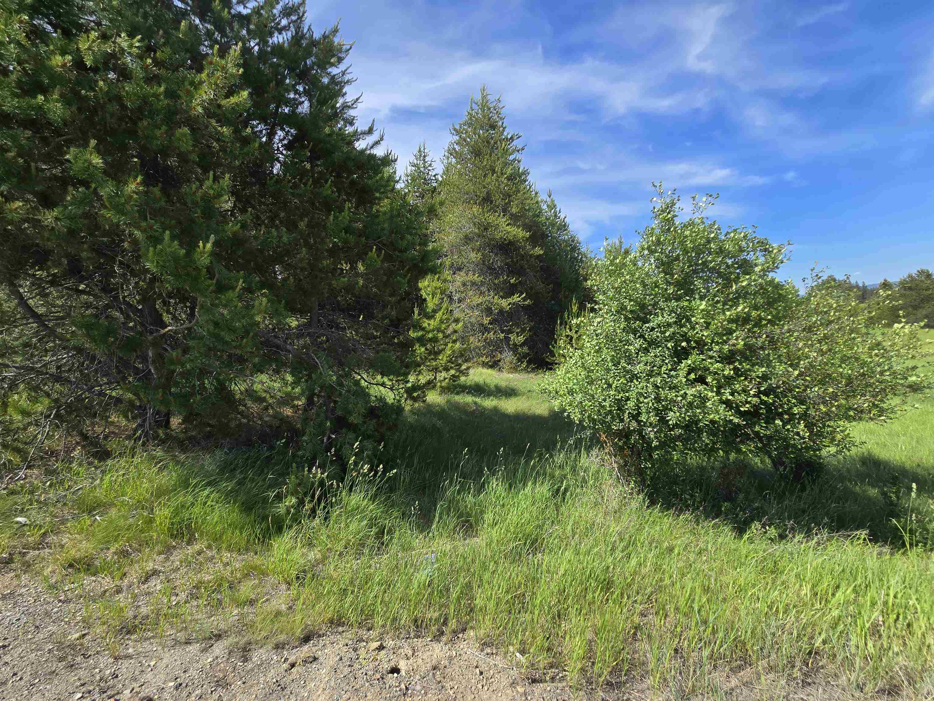 2020 Westside Calispell - Track Usk, WA 99180 - Photo 15 of 24