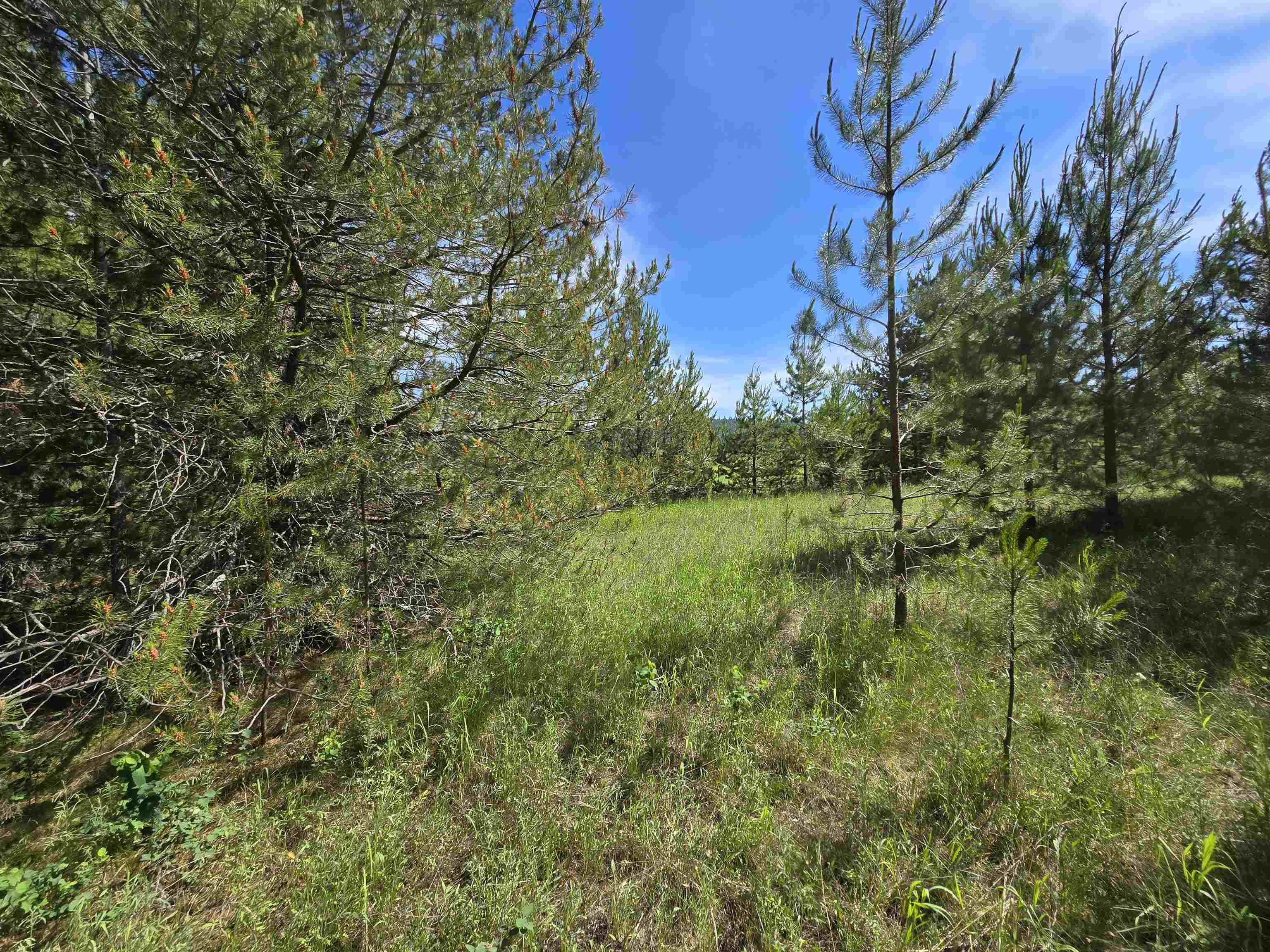 2020 Westside Calispell - Track Usk, WA 99180 - Photo 18 of 24