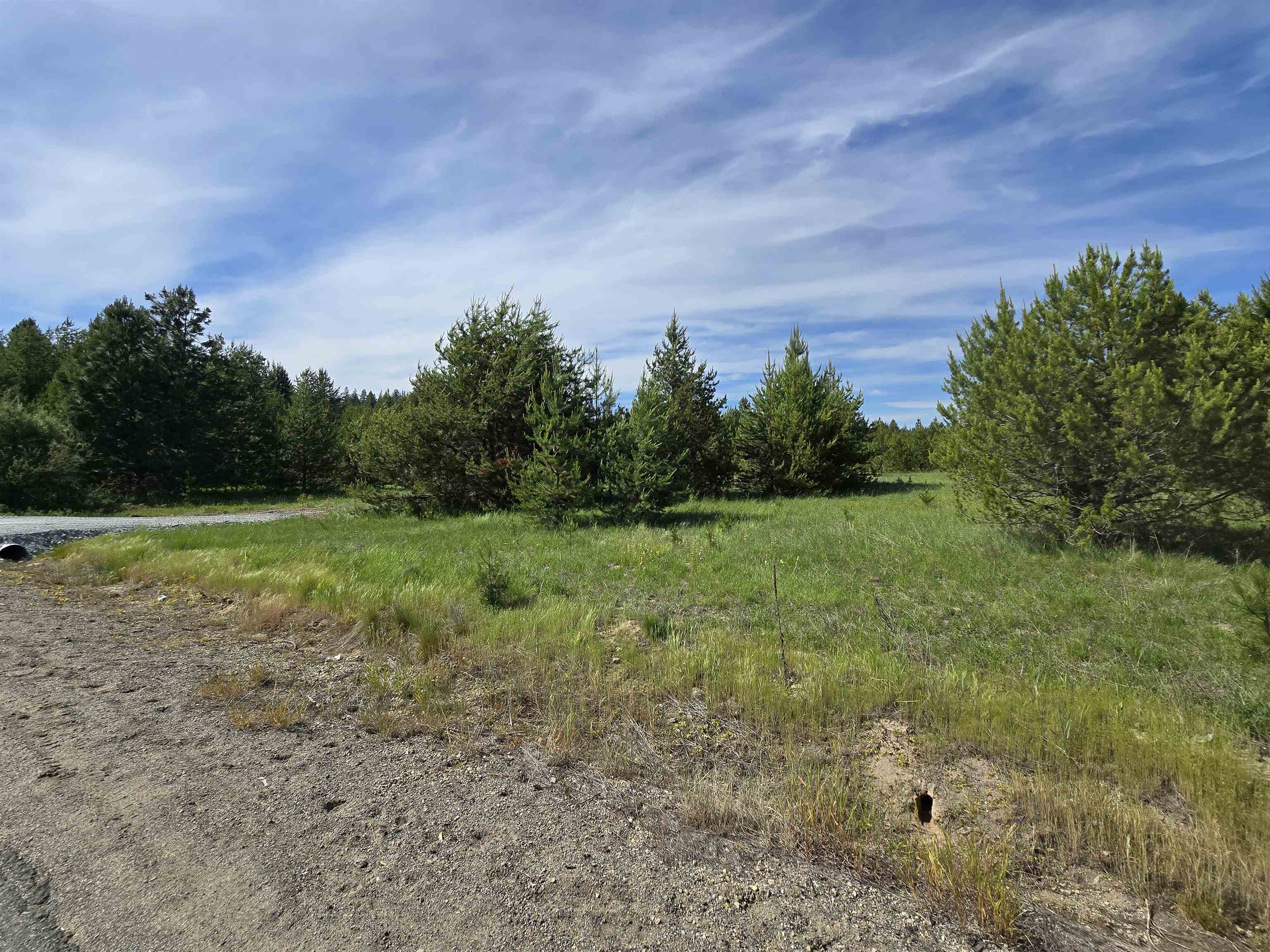 2020 Westside Calispell - Track Usk, WA 99180 - Photo 19 of 24