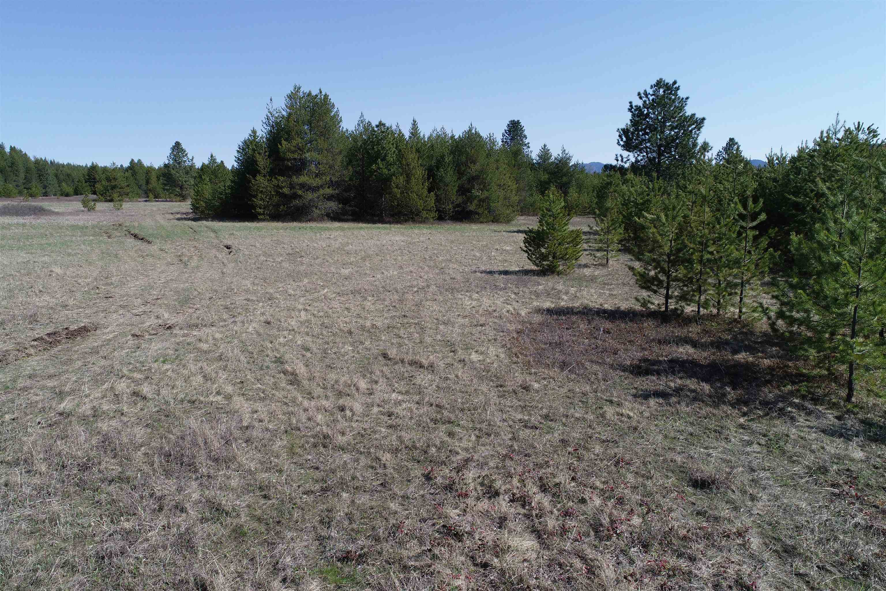 2020 Westside Calispell - Track Usk, WA 99180 - Photo 6 of 24