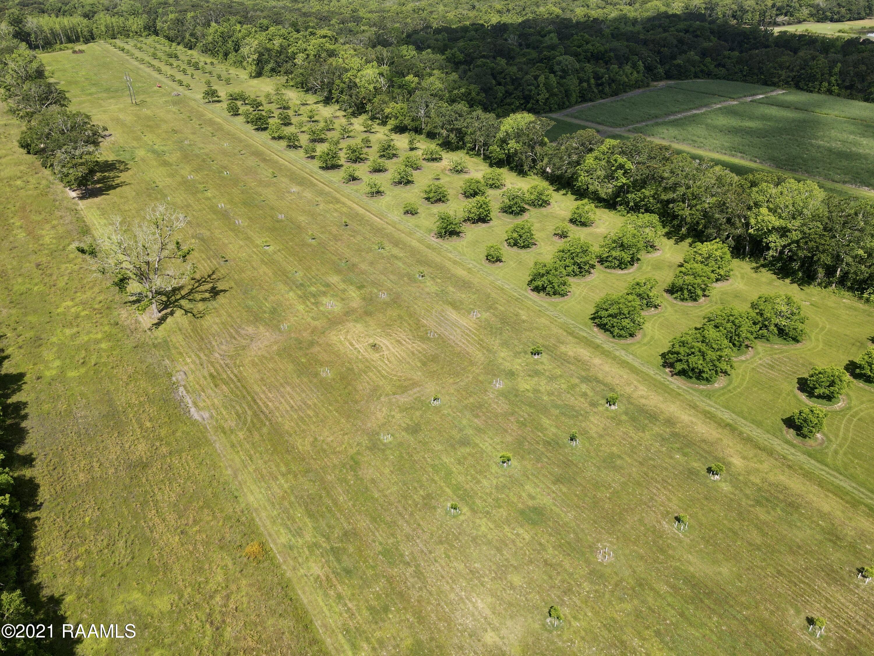 0 Gloria Kern Road Breaux Bridge, LA 70517 - Photo 10 of 25