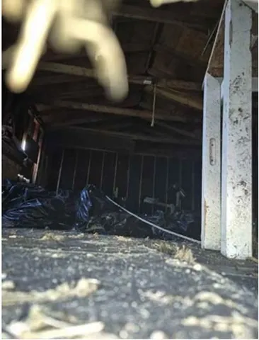 a view of a door of the house