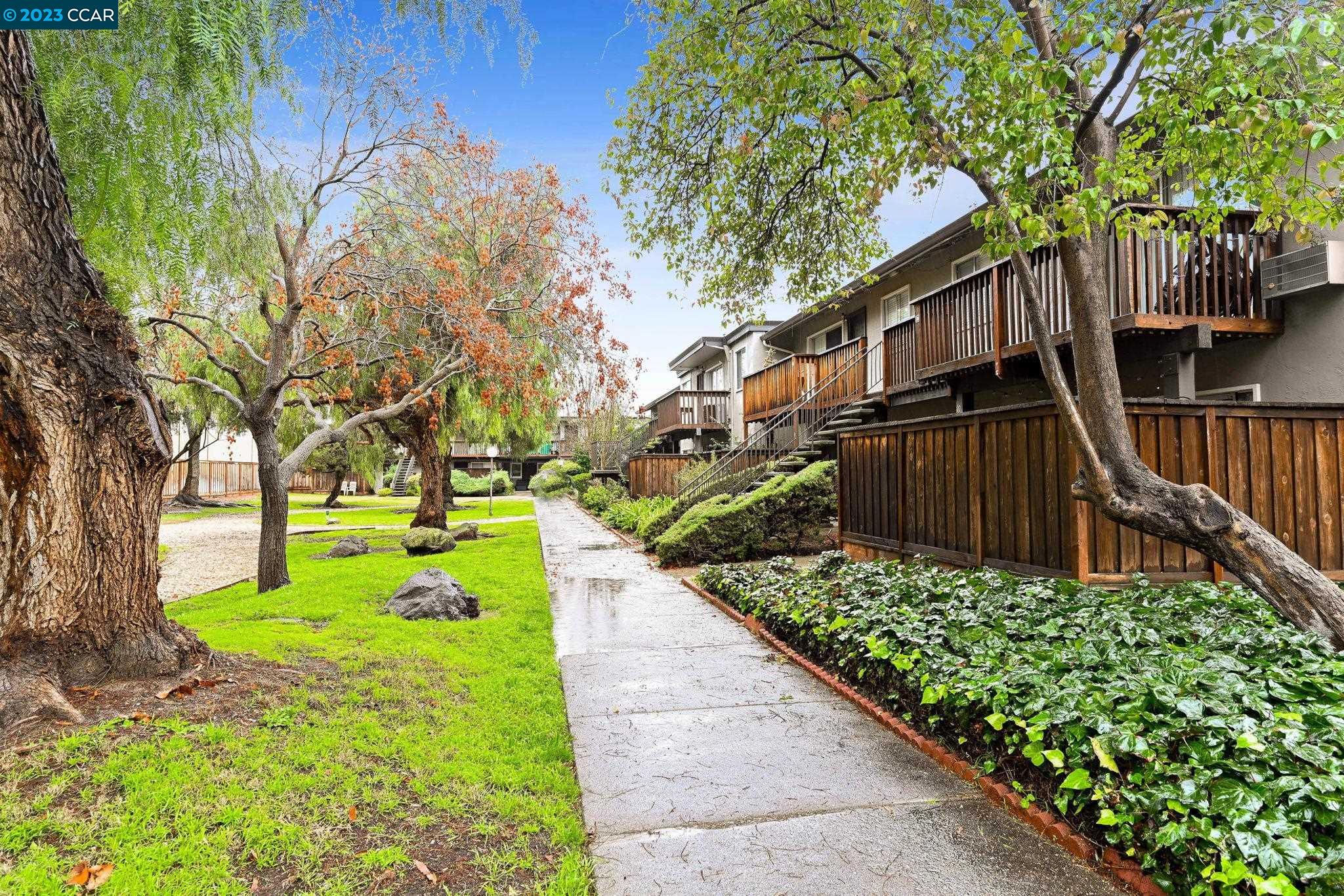 a view of a garden with wooden fence