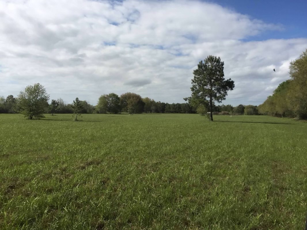 426 Standley Road Anahuac, TX 77514 - Photo 2 of 15