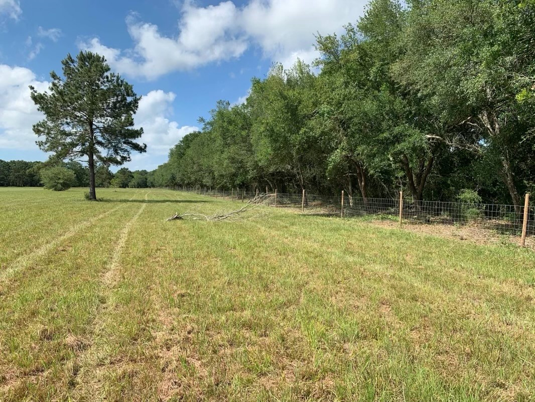 426 Standley Road Anahuac, TX 77514 - Photo 3 of 15