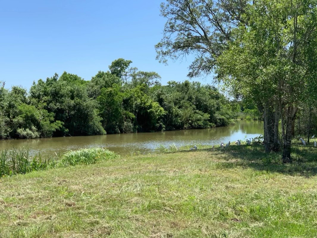 426 Standley Road Anahuac, TX 77514 - Photo 6 of 15