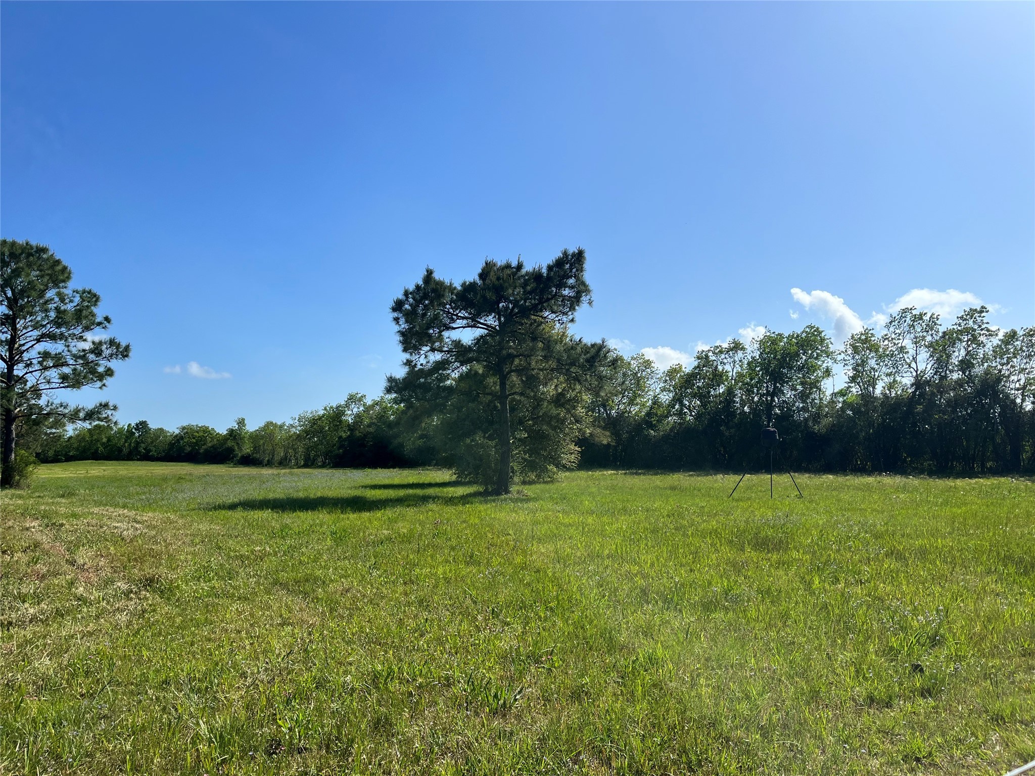 426 Standley Road Anahuac, TX 77514 - Photo 7 of 15