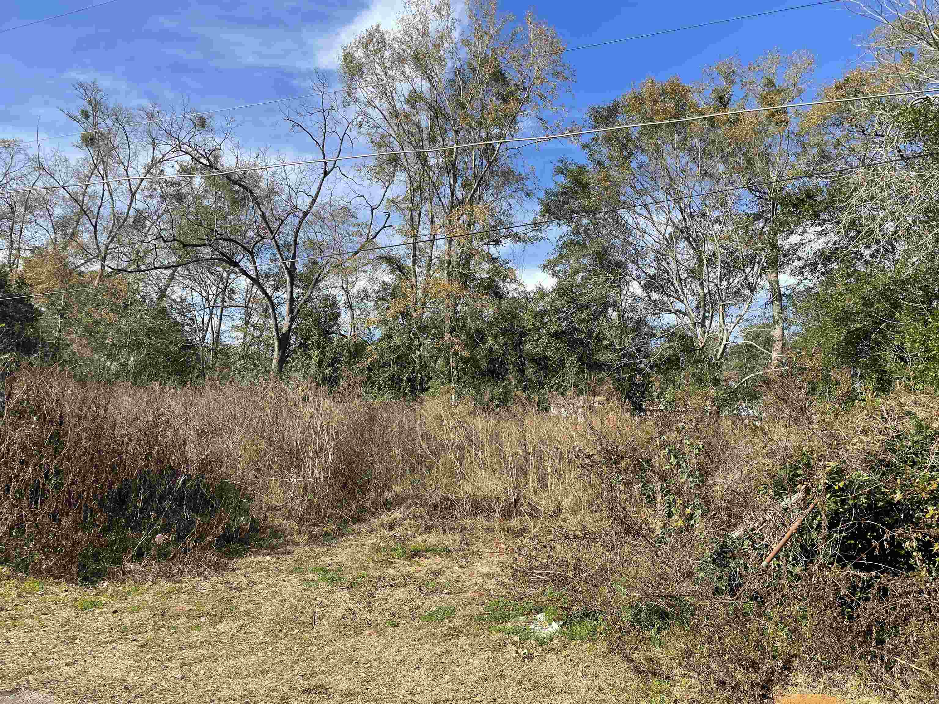 922 Splendor Road Tallahassee, FL 32301 - Photo 3 of 3 Gallery Image 3