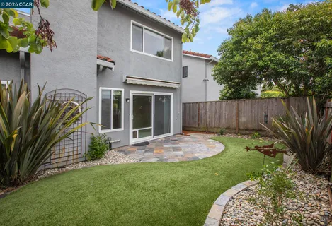 a view of a backyard with plants