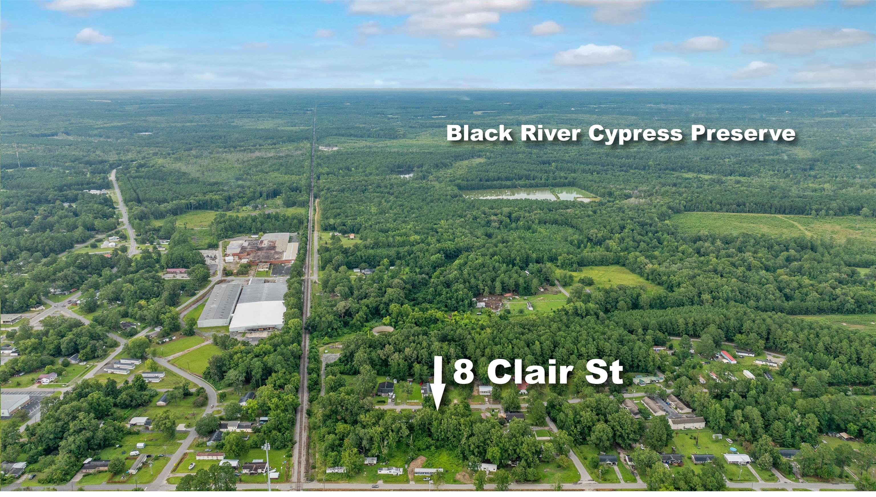 8 Clair Street Andrews, SC 29510 - Photo 12 of 12 Bird's eye view of a heavily wooded area