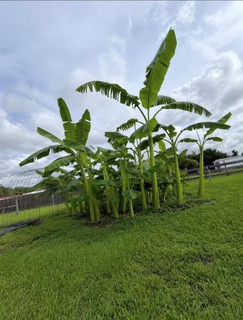 $729,900 | 4245 Henry J Avenue, St. Cloud, FL 34772