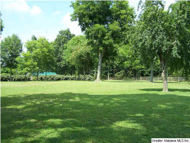 2066 Zion Hill Road Horton, AL 35980 - Photo 6 of 32