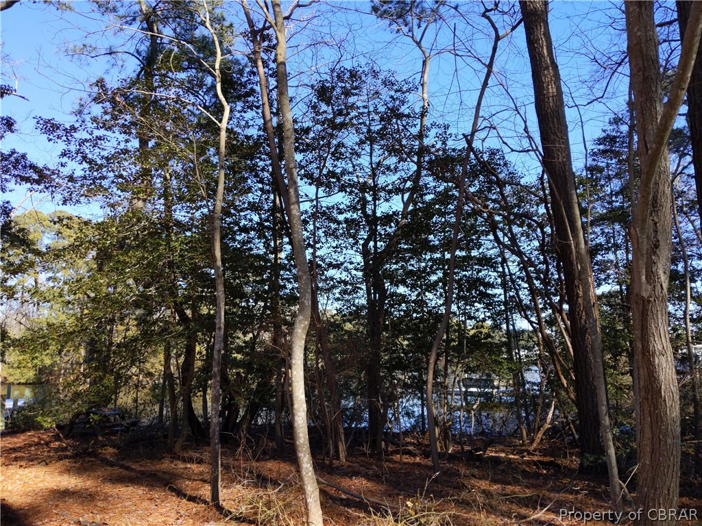 Lot 21-15 Hicks Road Hudgins, VA 23076 - Photo 43 of 50