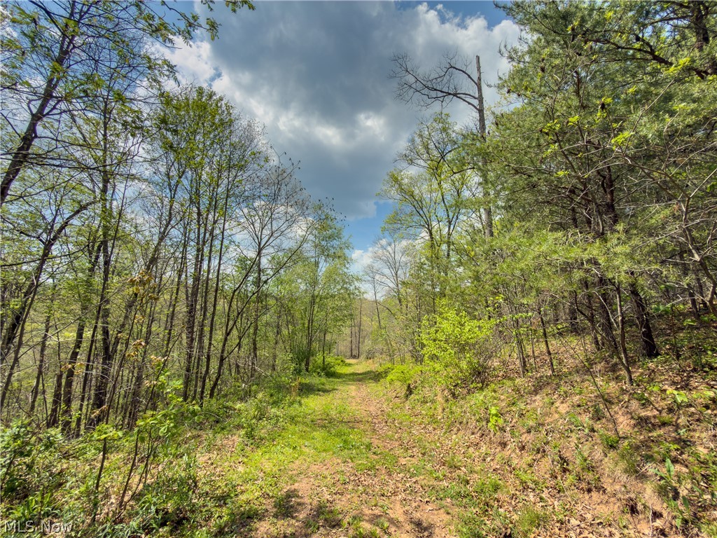 Beardmore Road Wingett Run, OH 45789 - Photo 19 of 43