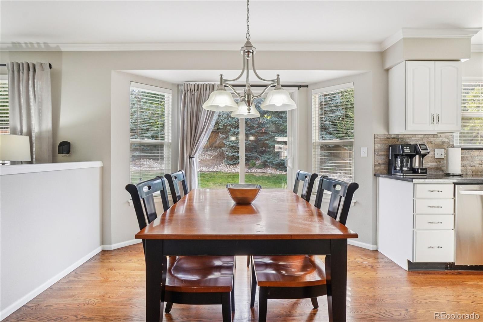 1993 Mountain Maple Avenue Highlands Ranch, CO 80129 - Photo 12 of 43